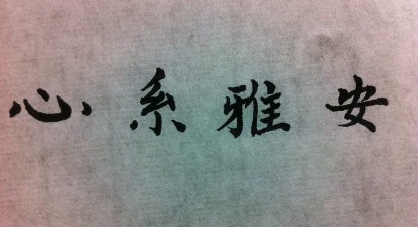 心系雅安